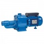 Помпа самозасмукваща Speroni CAM 200 /2500W, Q-6м3/ч, 1 1/2” / 1”, Н-60м/ Помпа самозасмукваща Speroni CAM 200 /2500W, Q-6м3/ч, 1 1/2” / 1”, Н-60м/