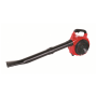 Листосъбирач бензинов RAIDER RD-GBV05 /750 W, 30 л/